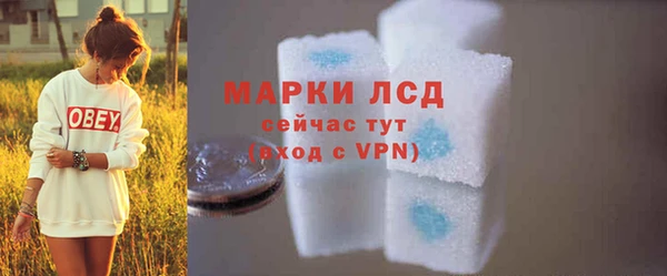 прущие грибы Магас