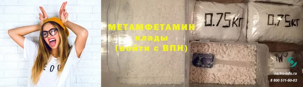 гидра Горняк