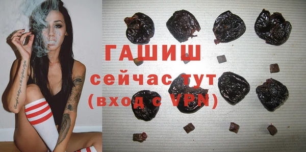 гидра Горняк