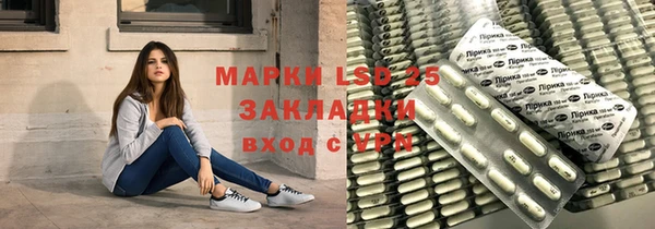 прущие грибы Магас