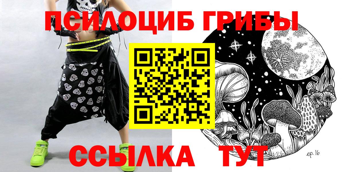 Губкин  Псилоцибиновые грибы ЛСД  наркошоп  Вход с VPN  Галлюциногенные грибы ЛСД 