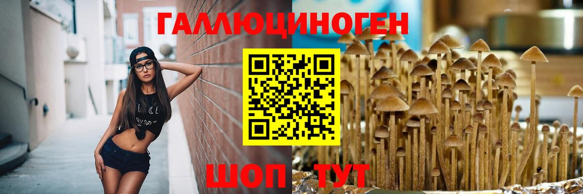 Галлюциногенные грибы Magic Shrooms  Губкин  Галлюциногенные грибы мицелий 