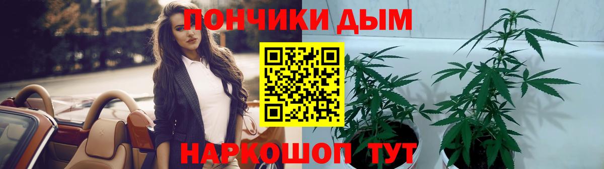 Канабис сатива Губкин